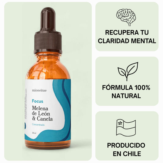 Focus | Apoyo natural para la concentración, la memoria y la claridad mental