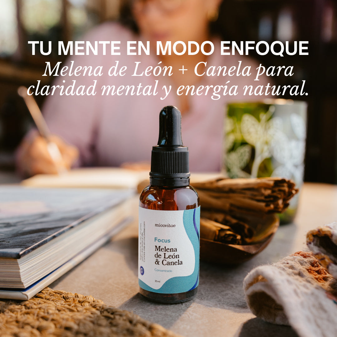 Focus | Apoyo natural para la concentración, la memoria y la claridad mental