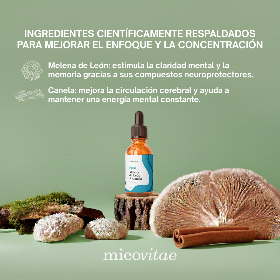 Focus | Apoyo natural para la concentración, la memoria y la claridad mental