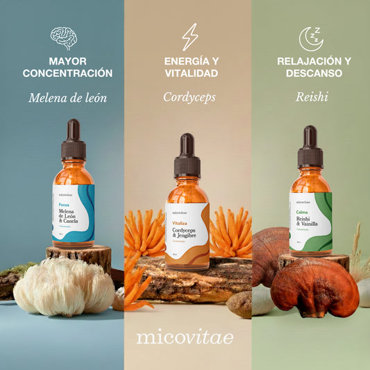 Tripack Micovitae (Foco - Relax - Energía)