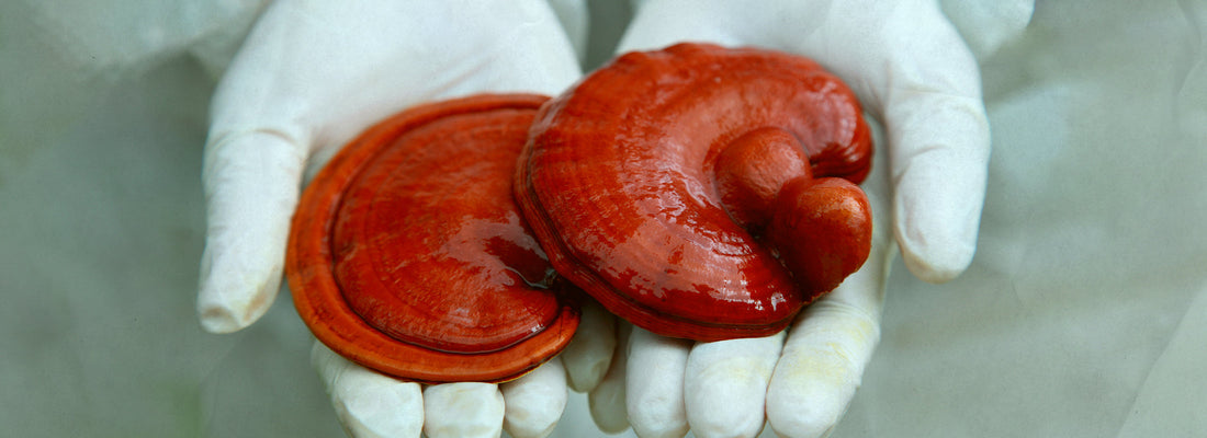 Relax: ¿Qué dice la ciencia?