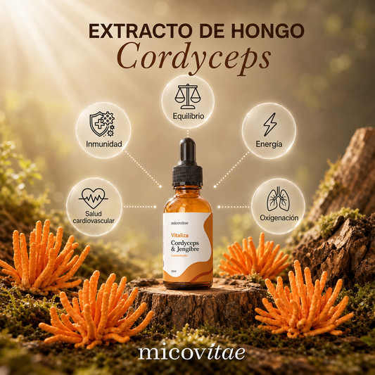 Extracto de Cordyceps Micovitae: beneficios principales