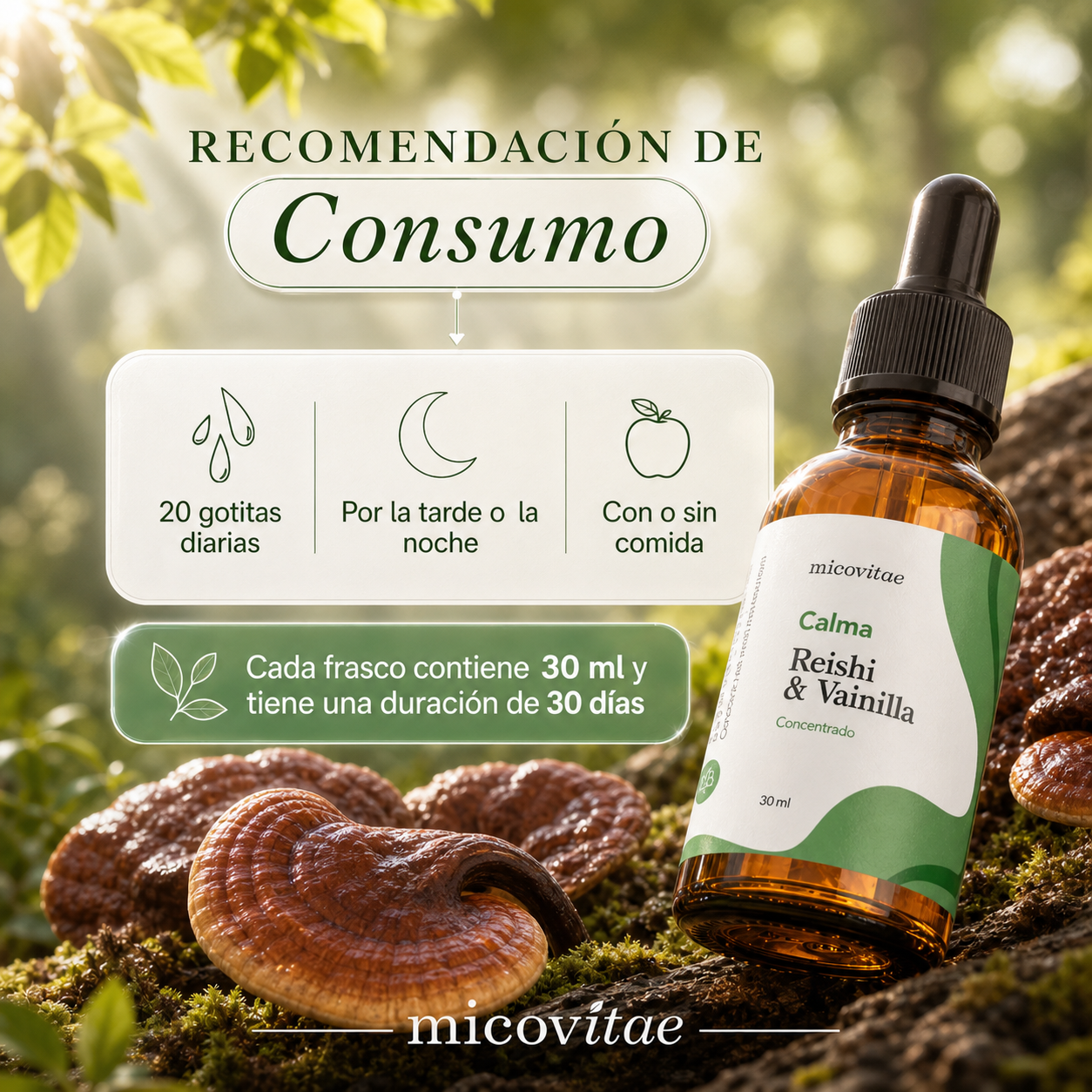 Recomendación de consumo del extracto de Reishi Micovitae