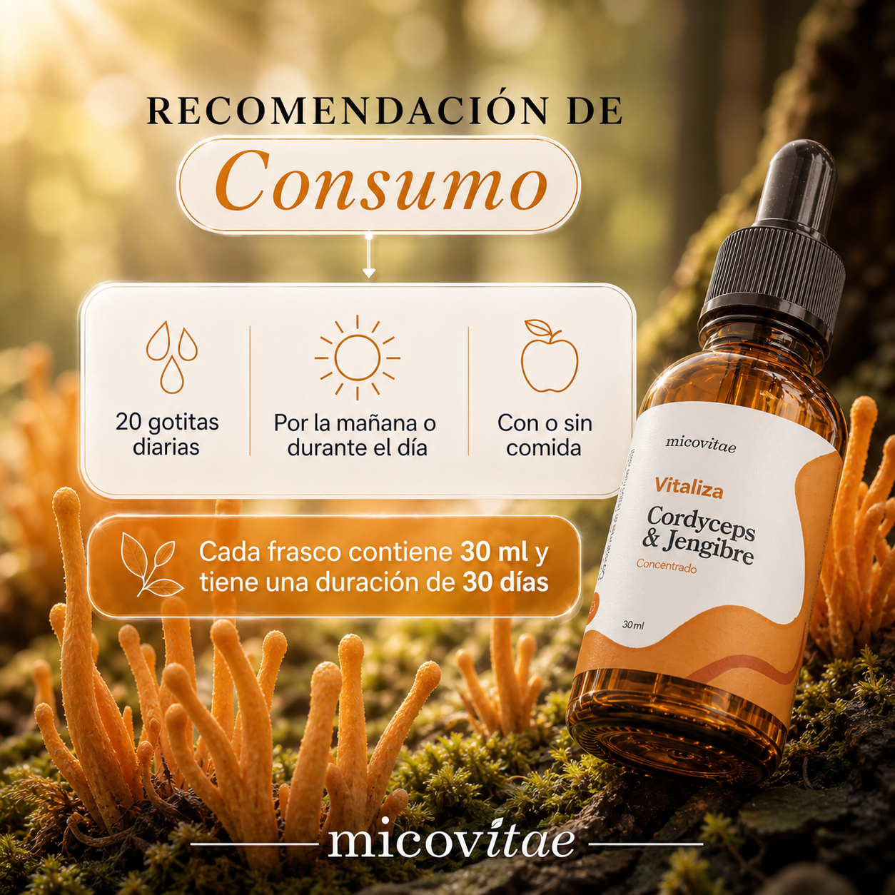 Recomendación de consumo del extracto de Cordyceps Micovitae