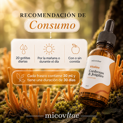 Recomendación de consumo del extracto de Cordyceps Micovitae