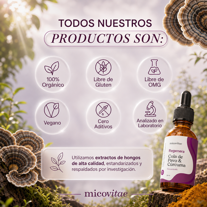 Atributos de los productos Micovitae con extracto de Cola de Pavo