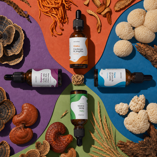 Pack Bienestar Integral | Focus + Vitaliza + Relax + Regenera