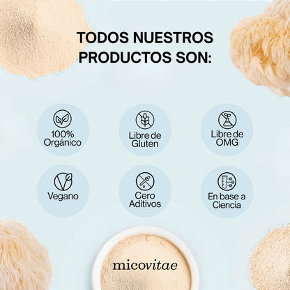 Focus | Extracto de Melena de León