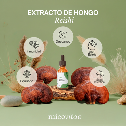 Tripack Micovitae (Foco - Relax - Energía)