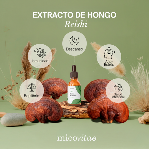 Relax | Extracto de Reishi