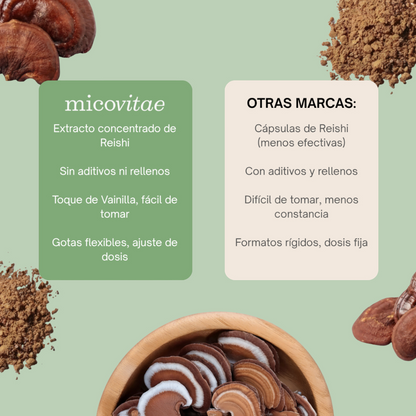 Relax (Reishi)