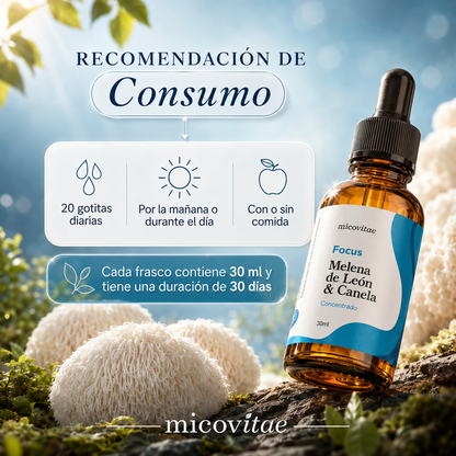 Focus | Extracto de Melena de León