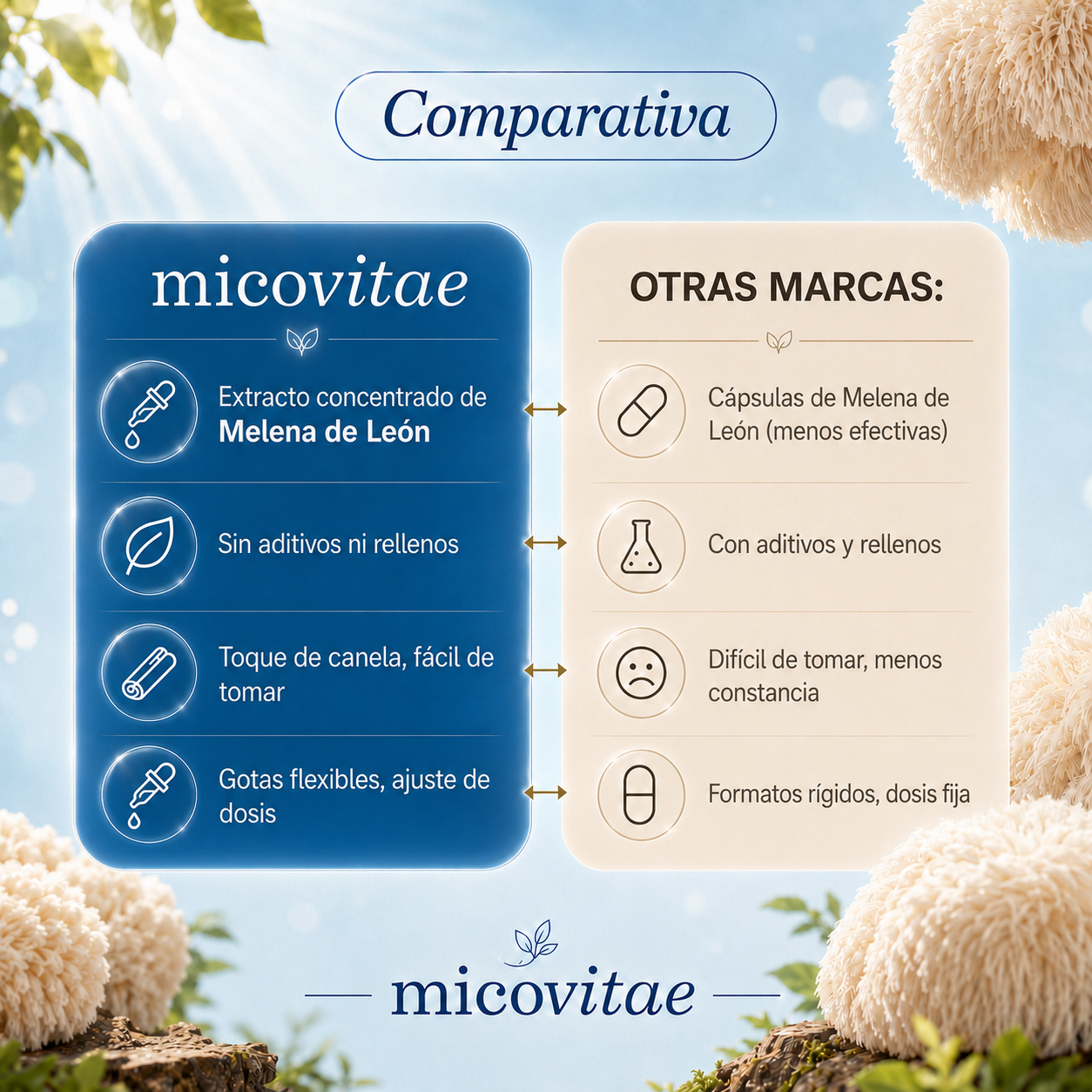 Focus | Extracto de Melena de León