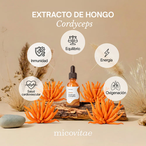 Vitaliza | Extracto de Cordyceps