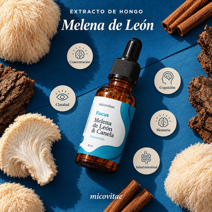 Focus, extracto de melena de león Micovitae: concentración, cognición, claridad, memoria y salud intestinal