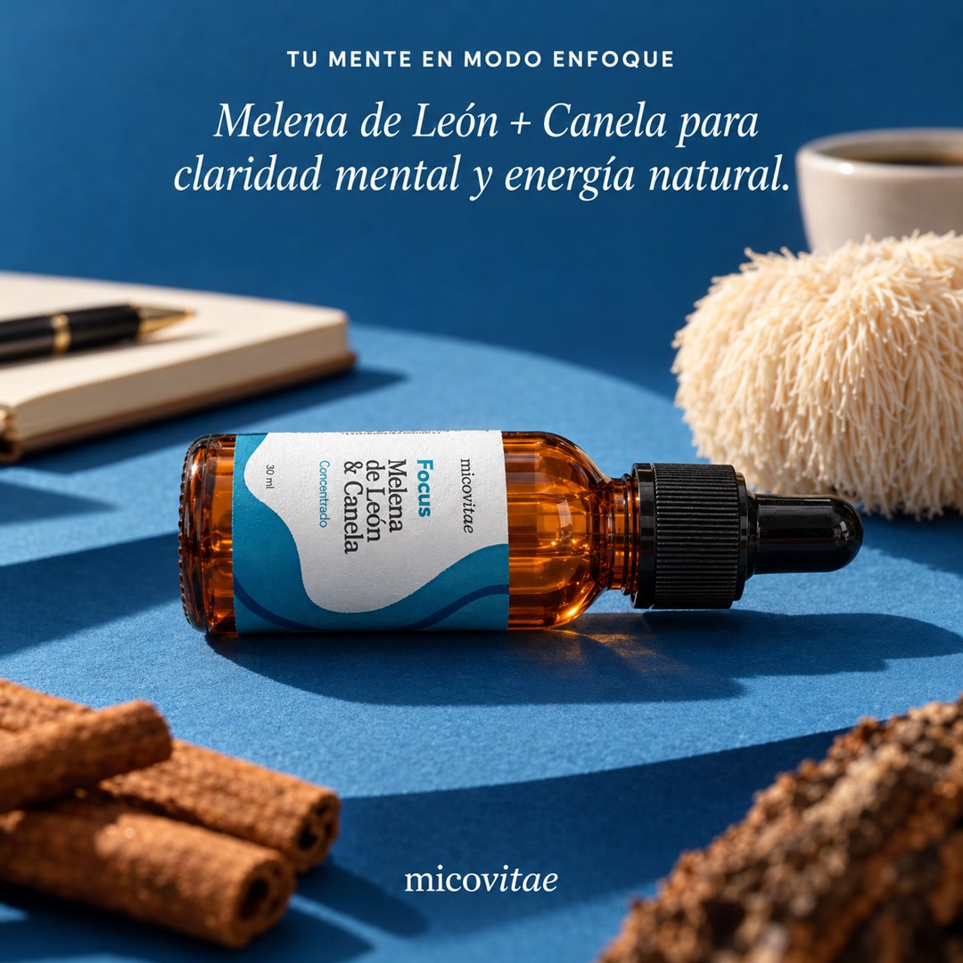 Focus Micovitae: melena de león + canela para claridad mental y energía natural