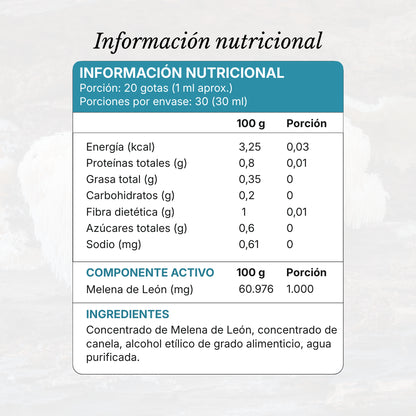 Focus | Extracto de Melena de León