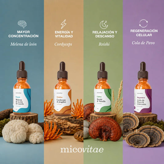 Pack Bienestar Integral | Focus + Vitaliza + Relax + Regenera