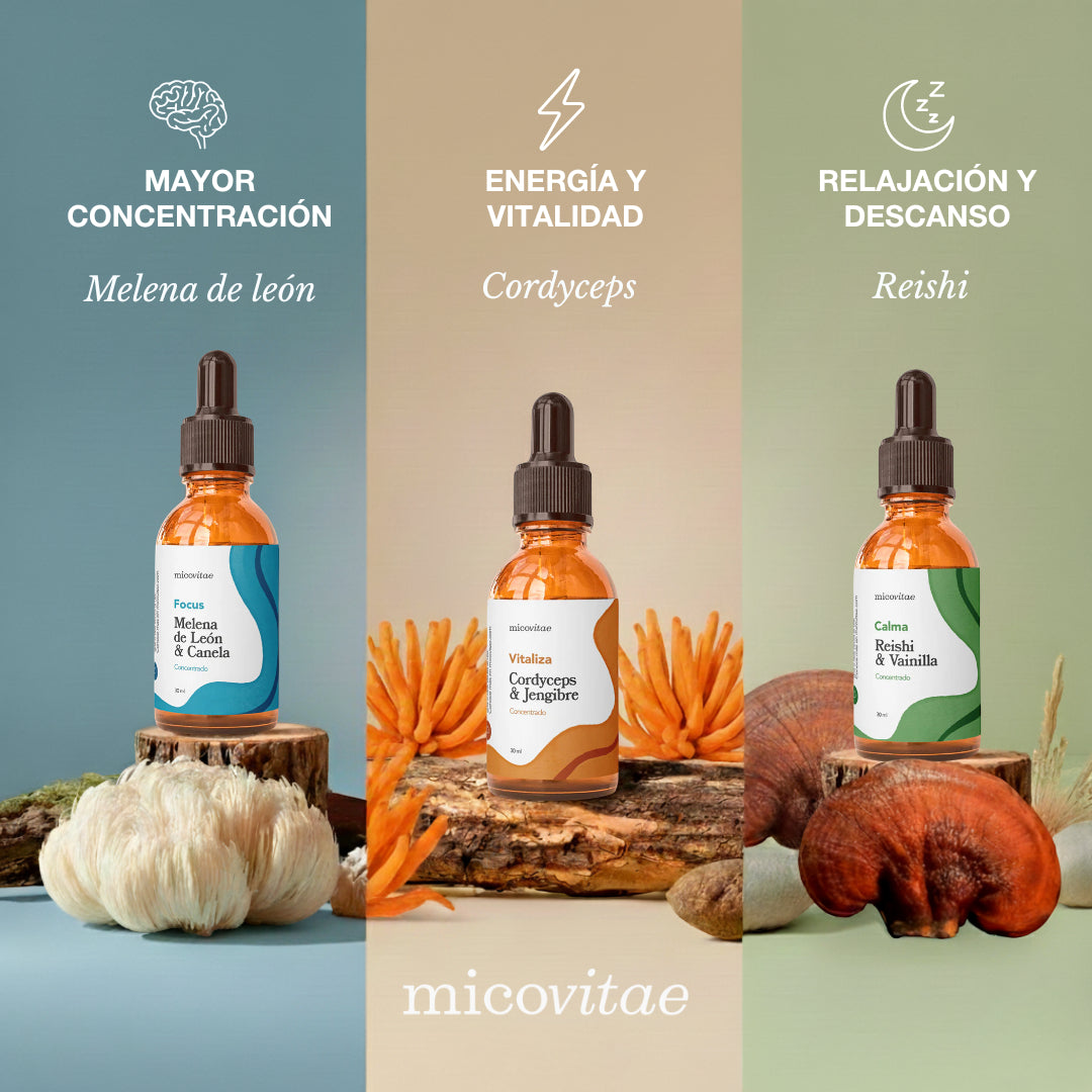 Tripack Micovitae (Foco - Relax - Energía)