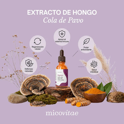 Pack Bienestar Integral | Focus + Vitaliza + Relax + Regenera