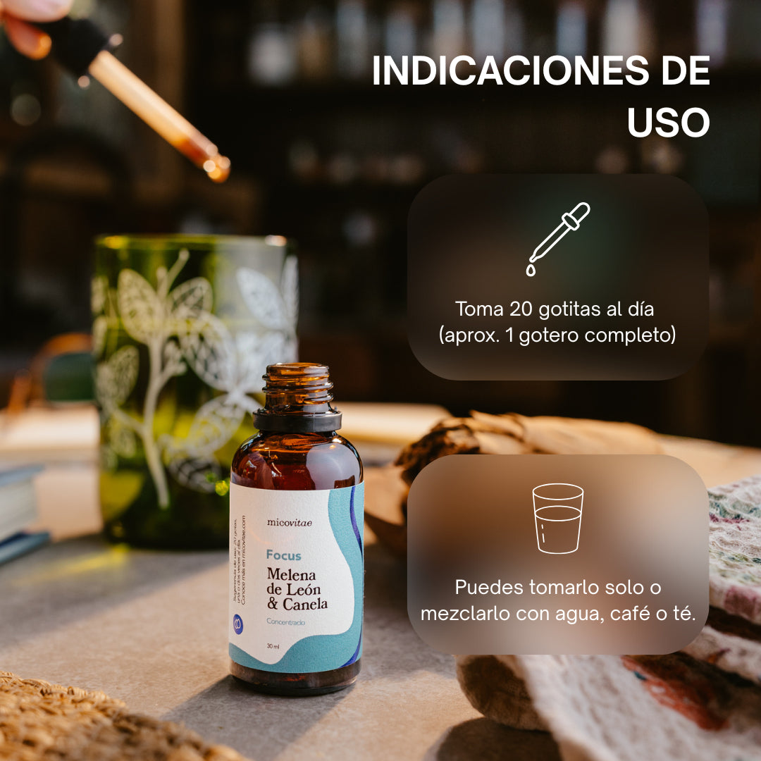 Focus | Apoyo natural para la concentración, la memoria y la claridad mental