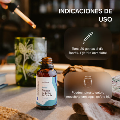 Focus | Apoyo natural para la concentración, la memoria y la claridad mental