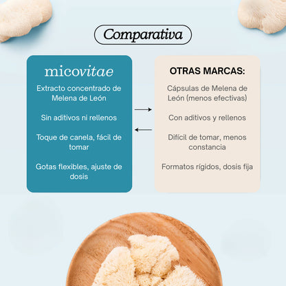 Focus | Extracto de Melena de León