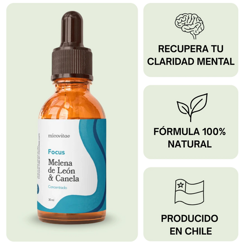 Focus | Extracto de Melena de León