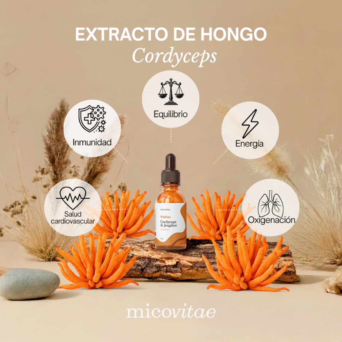 Pack Bienestar Integral | Focus + Vitaliza + Relax + Regenera