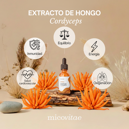 Pack Bienestar Integral | Focus + Vitaliza + Relax + Regenera