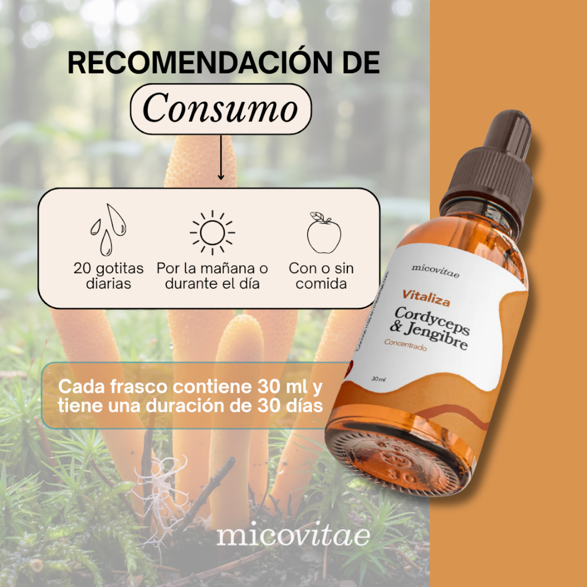 Energía (Cordyceps militaris)