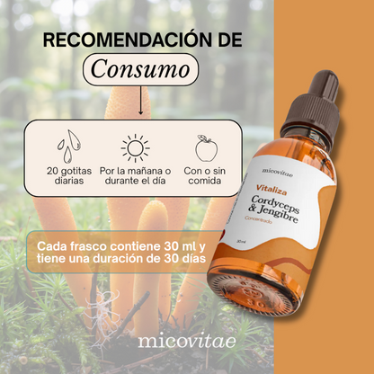 Energía (Cordyceps militaris)