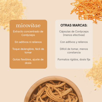 Energía (Cordyceps militaris)